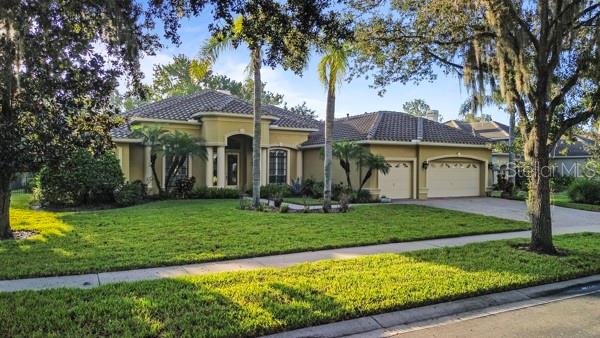 Photo of 20924 BROADWATER DRIVE LAND O LAKES FL 34638
