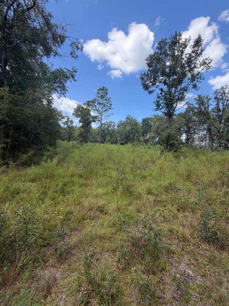 Photo of FOXWOOD FORT WHITE FL 32038