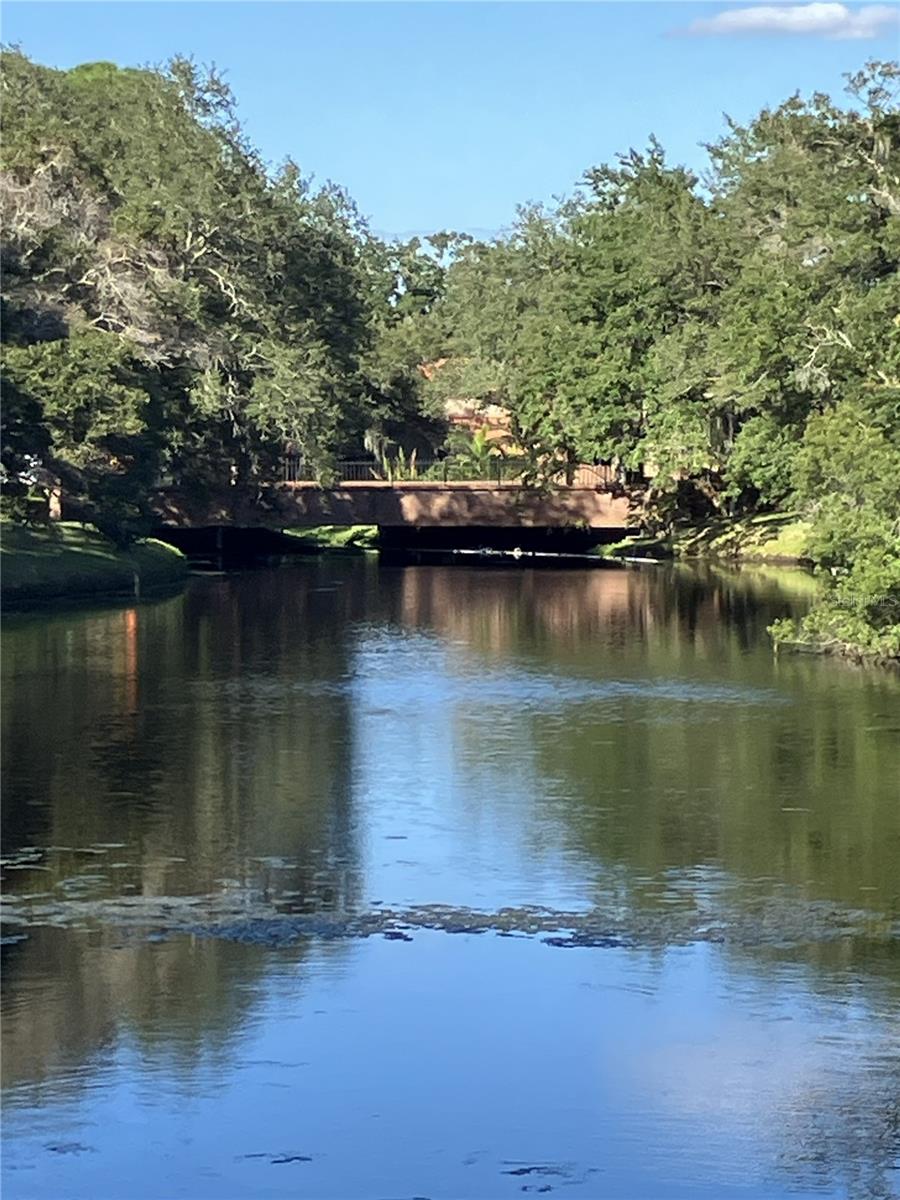 Photo of 3165 LANDMARK DRIVE #724 CLEARWATER FL 33761