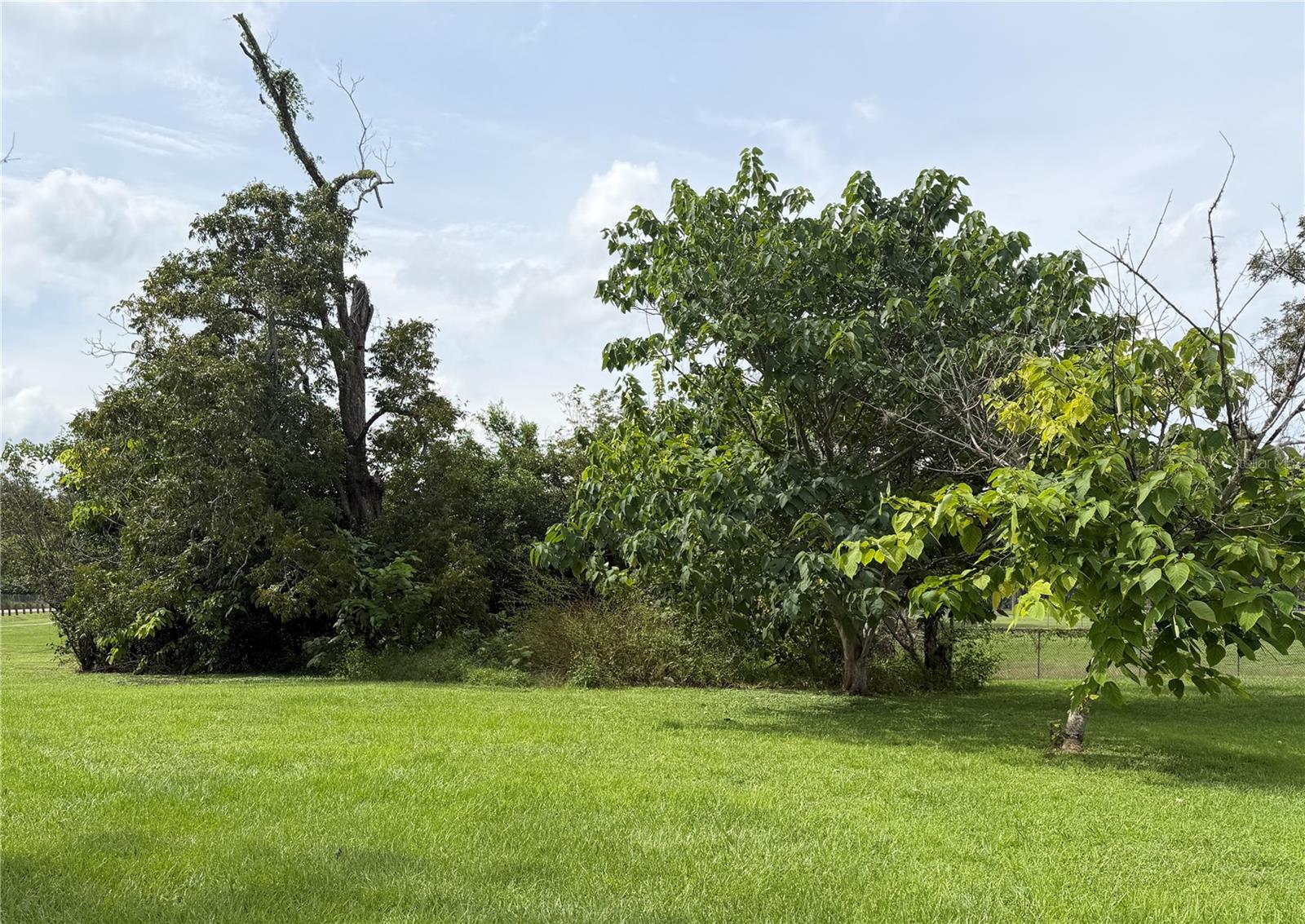 Photo of 1404 NW 20TH COURT OCALA FL 34475