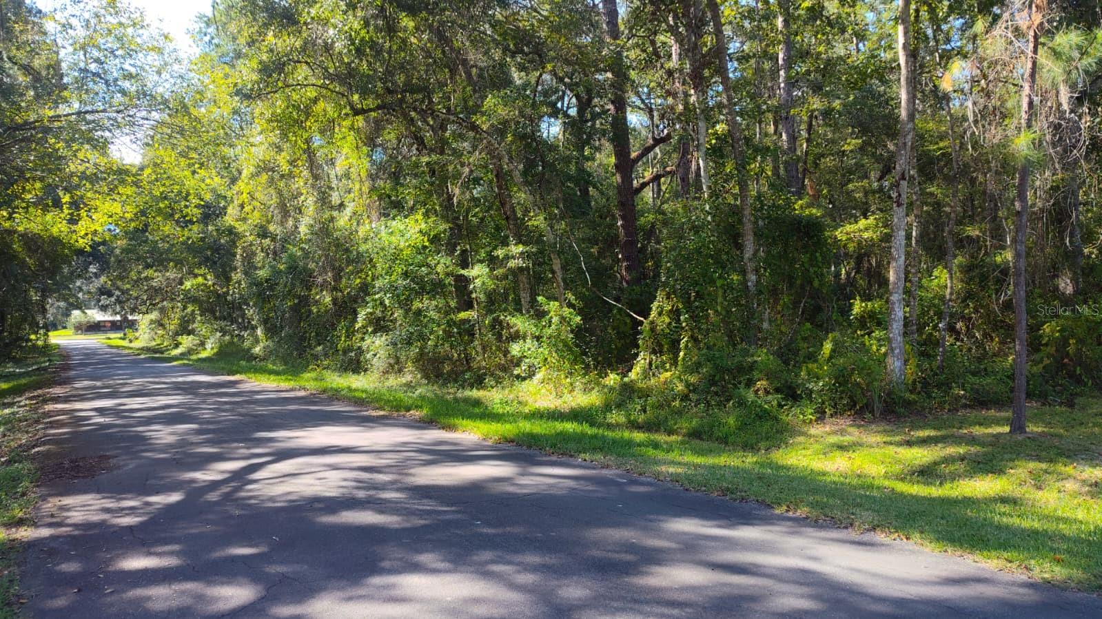 Photo of 19289 CENTER STREET BROOKSVILLE FL 34601