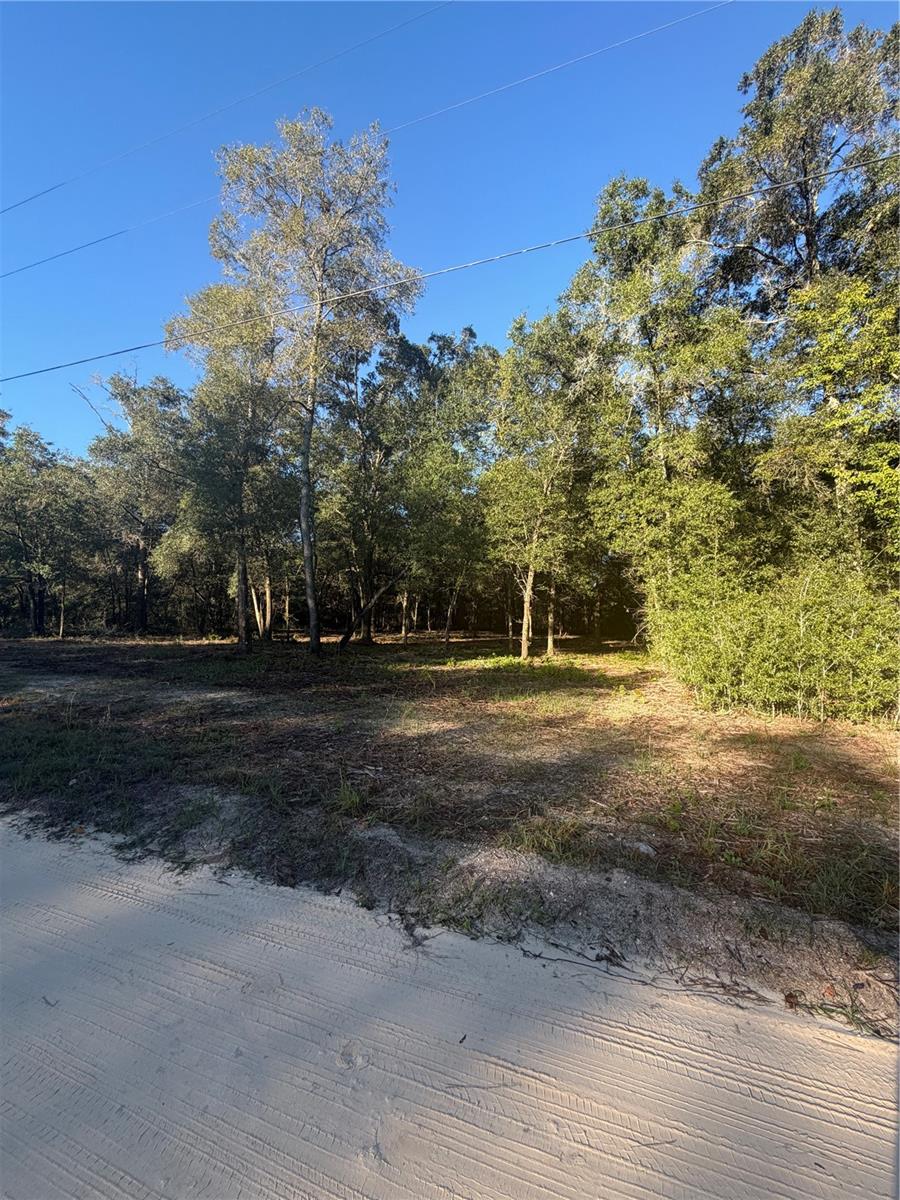 Photo of 0 SW 150TH OCALA FL 34481