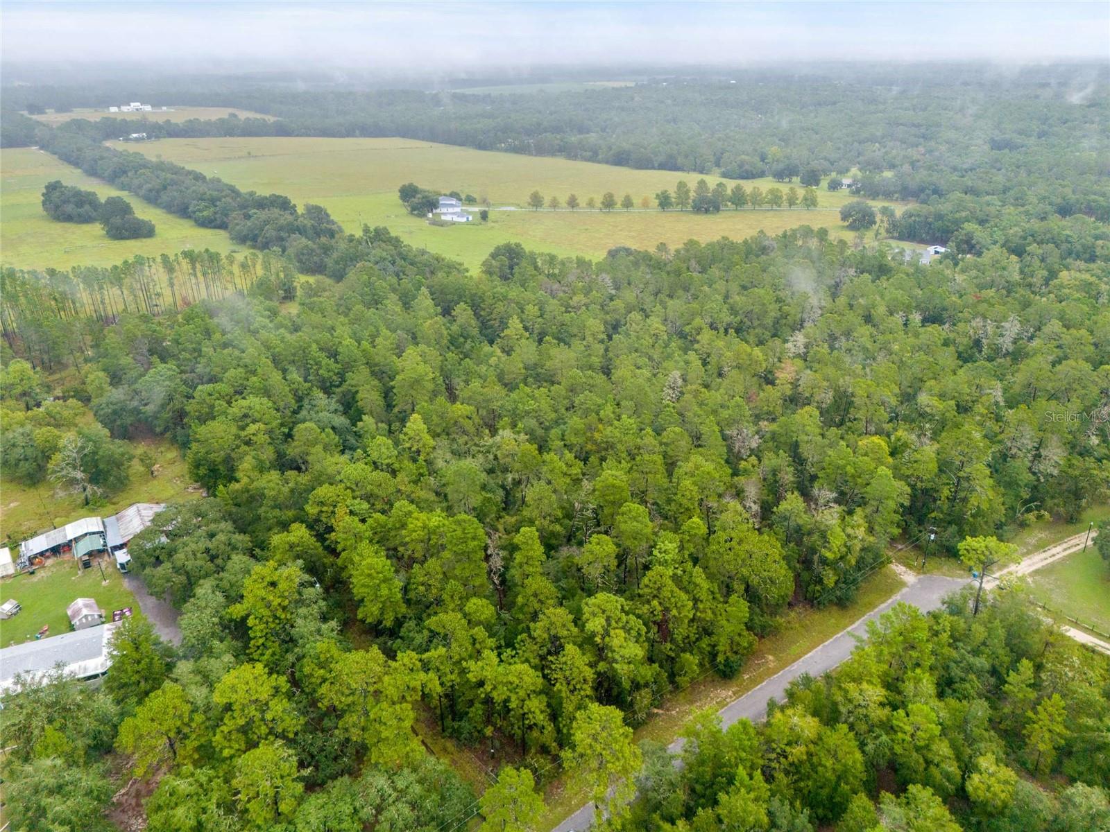 Photo of WHIPPERWILL STREET BROOKSVILLE FL 34601