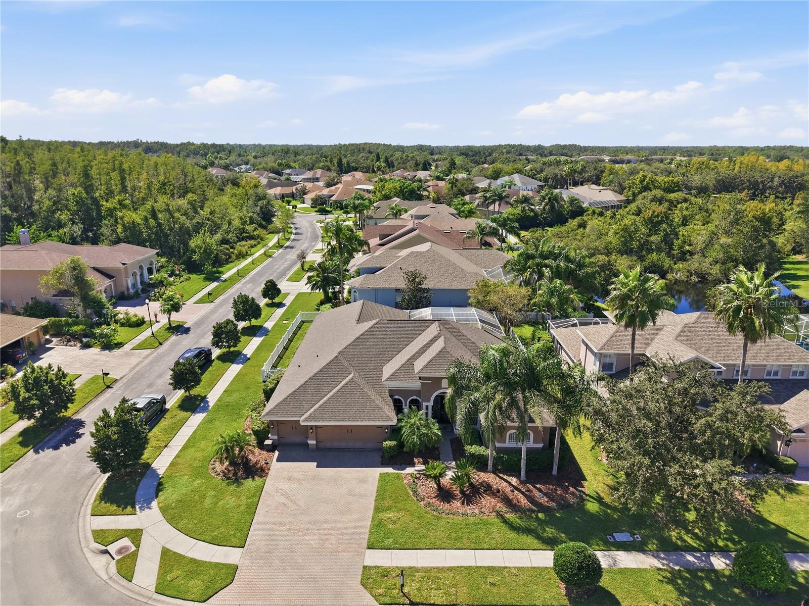 Photo of 3905 SORREL VINE DRIVE WESLEY CHAPEL FL 33544