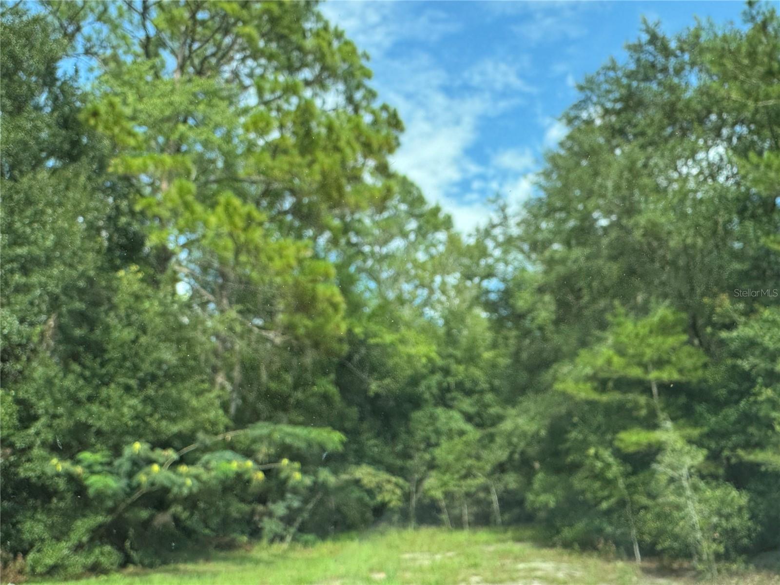 Photo of UNASSIGNED FORT MC COY FL 32134