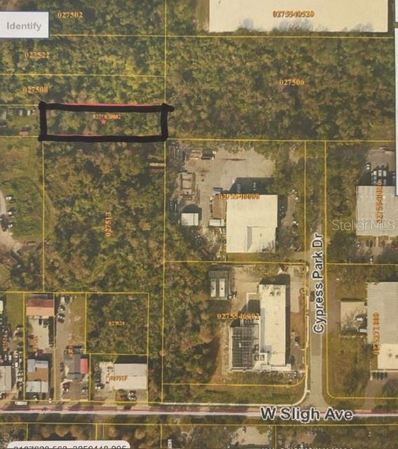 Photo of BANJAMIN TAMPA FL 33634