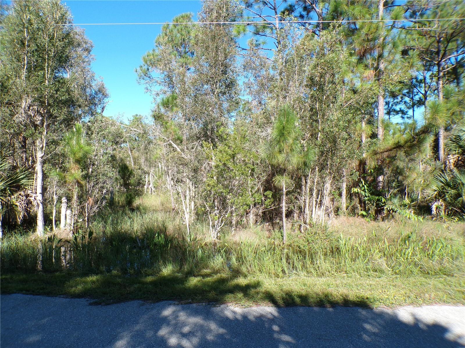 Photo of 12219 RIPPLE DRIVE PUNTA GORDA FL 33955