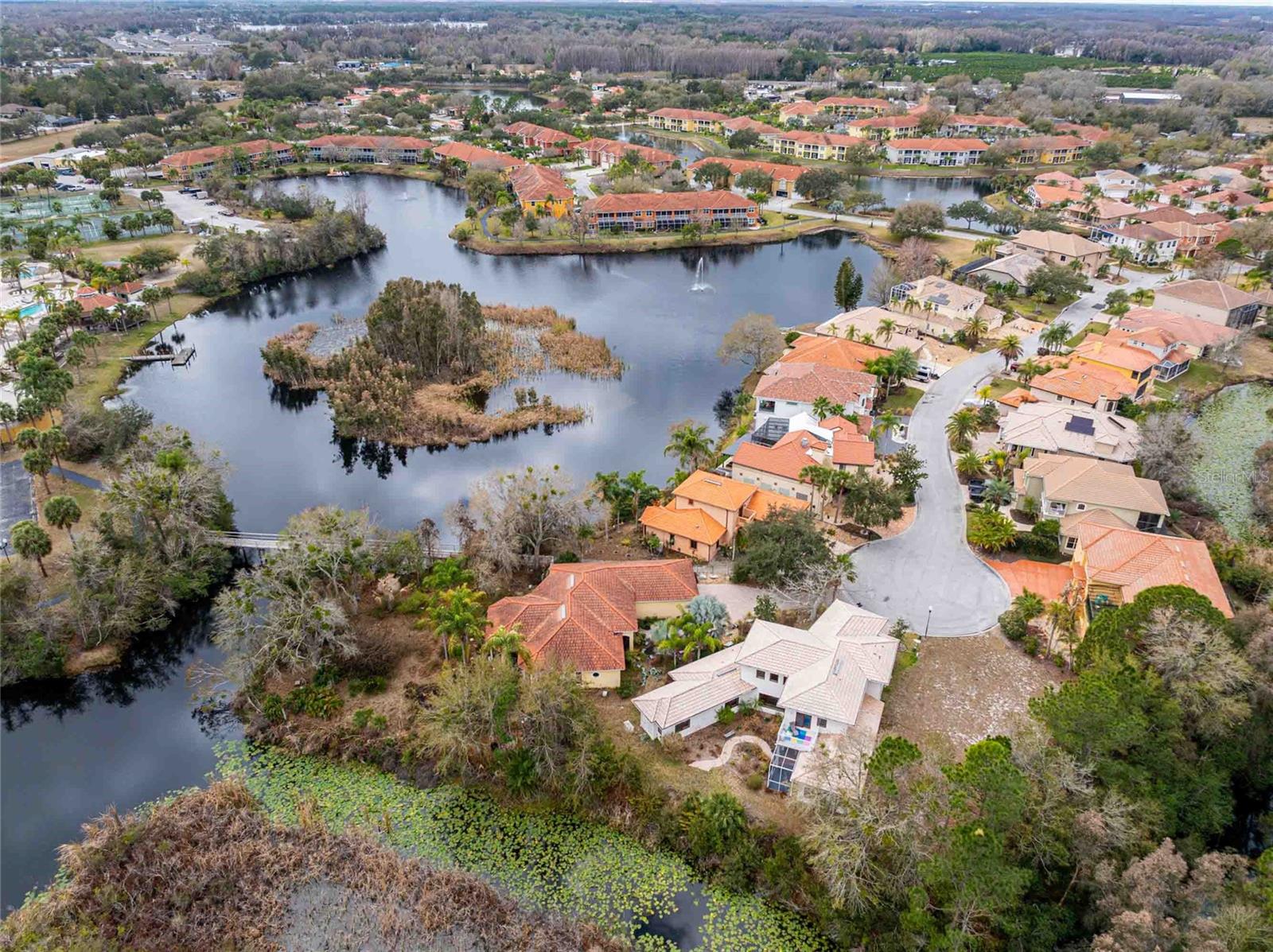 Photo of 21150 LOS CABOS COURT LAND O LAKES FL 34637