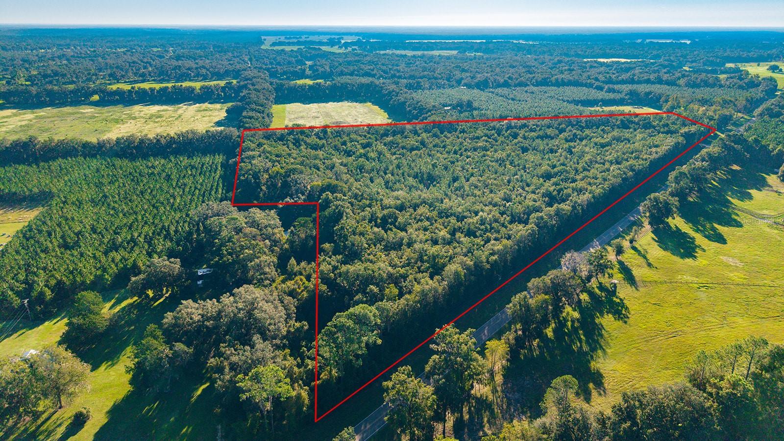 Photo of TBD 00 NW COUNTY ROAD 339 TRENTON FL 32693
