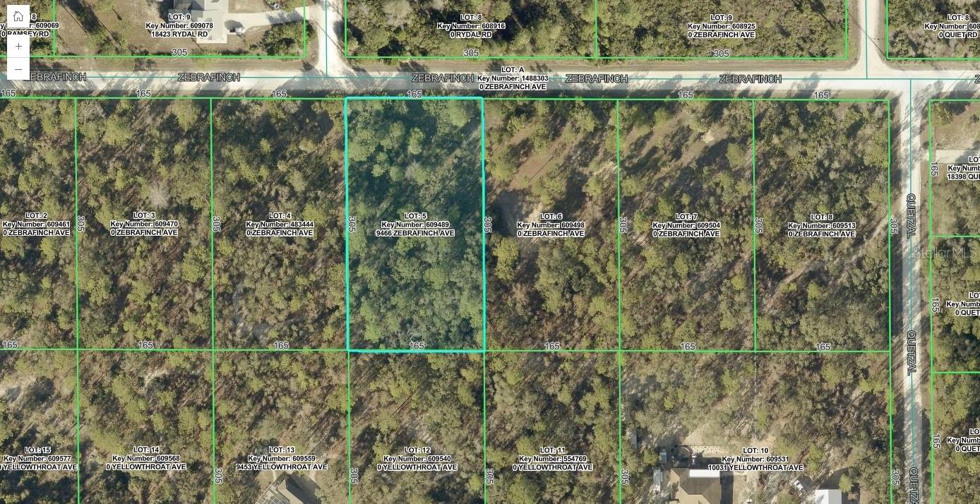 Photo of 9466 ZEBRAFINCH AVENUE WEEKI WACHEE FL 34614
