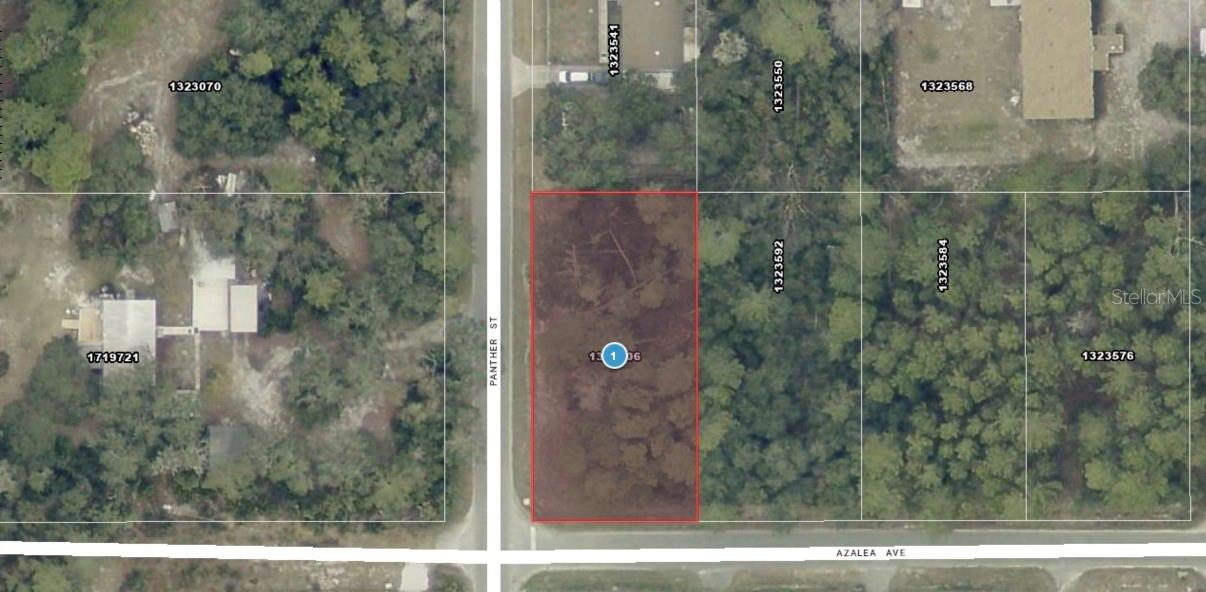 Photo of AZALEA AVENUE PAISLEY FL 32767