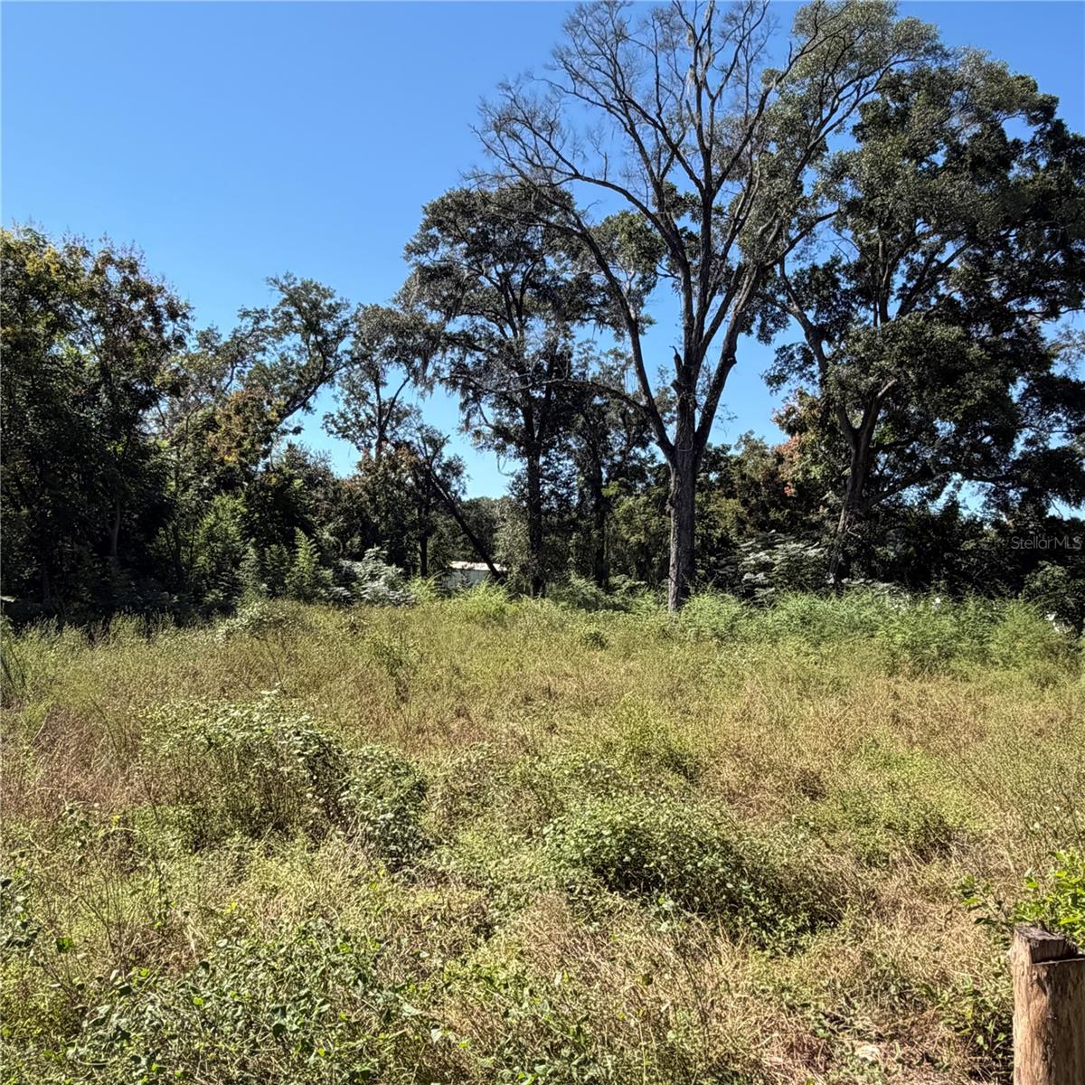 Photo of 16612 SE 25TH AVENUE SUMMERFIELD FL 34491
