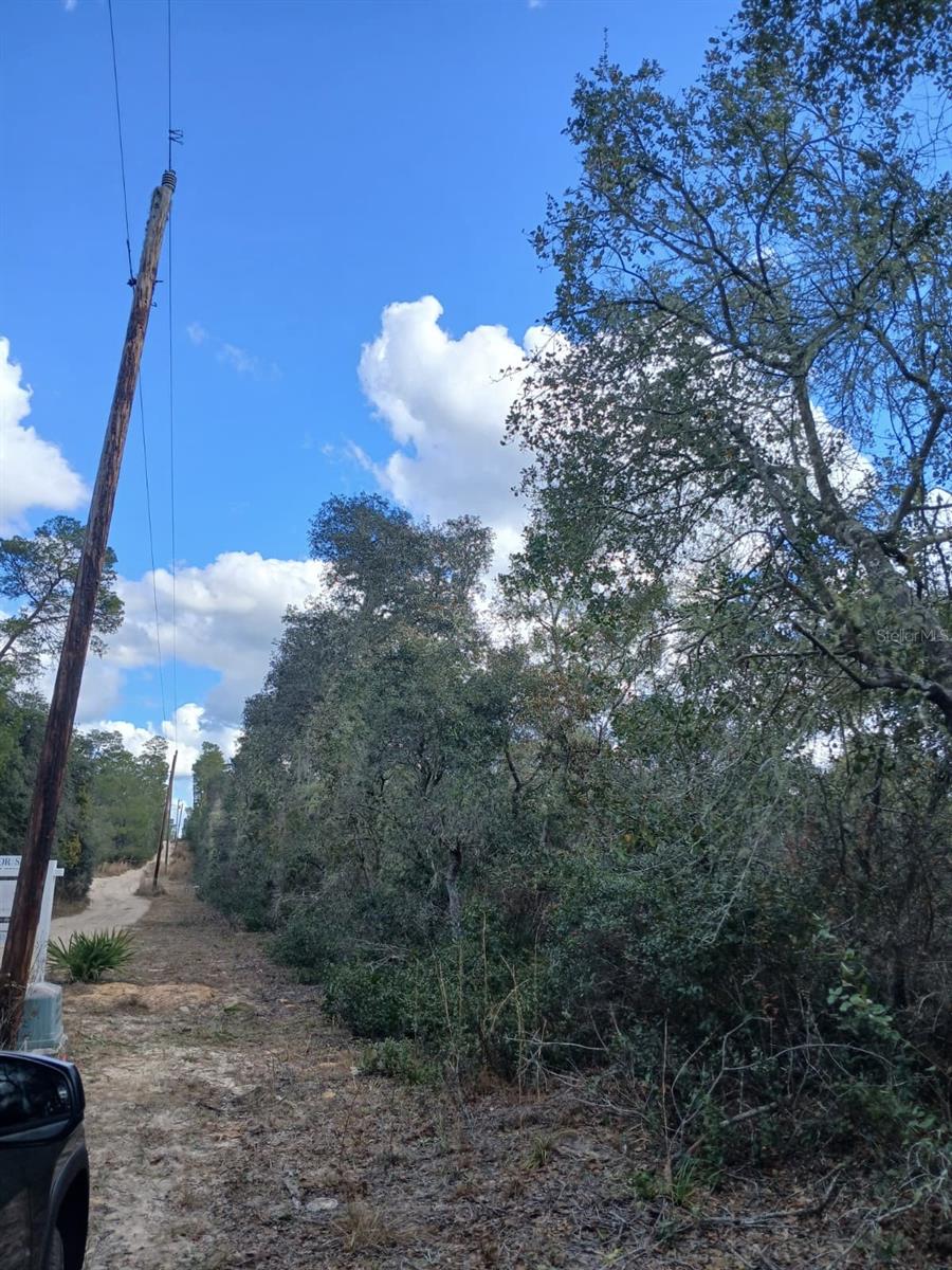 Photo of TBD NE 234 TH PLACE #Lots 19.20.21 FORT MC COY FL 32134