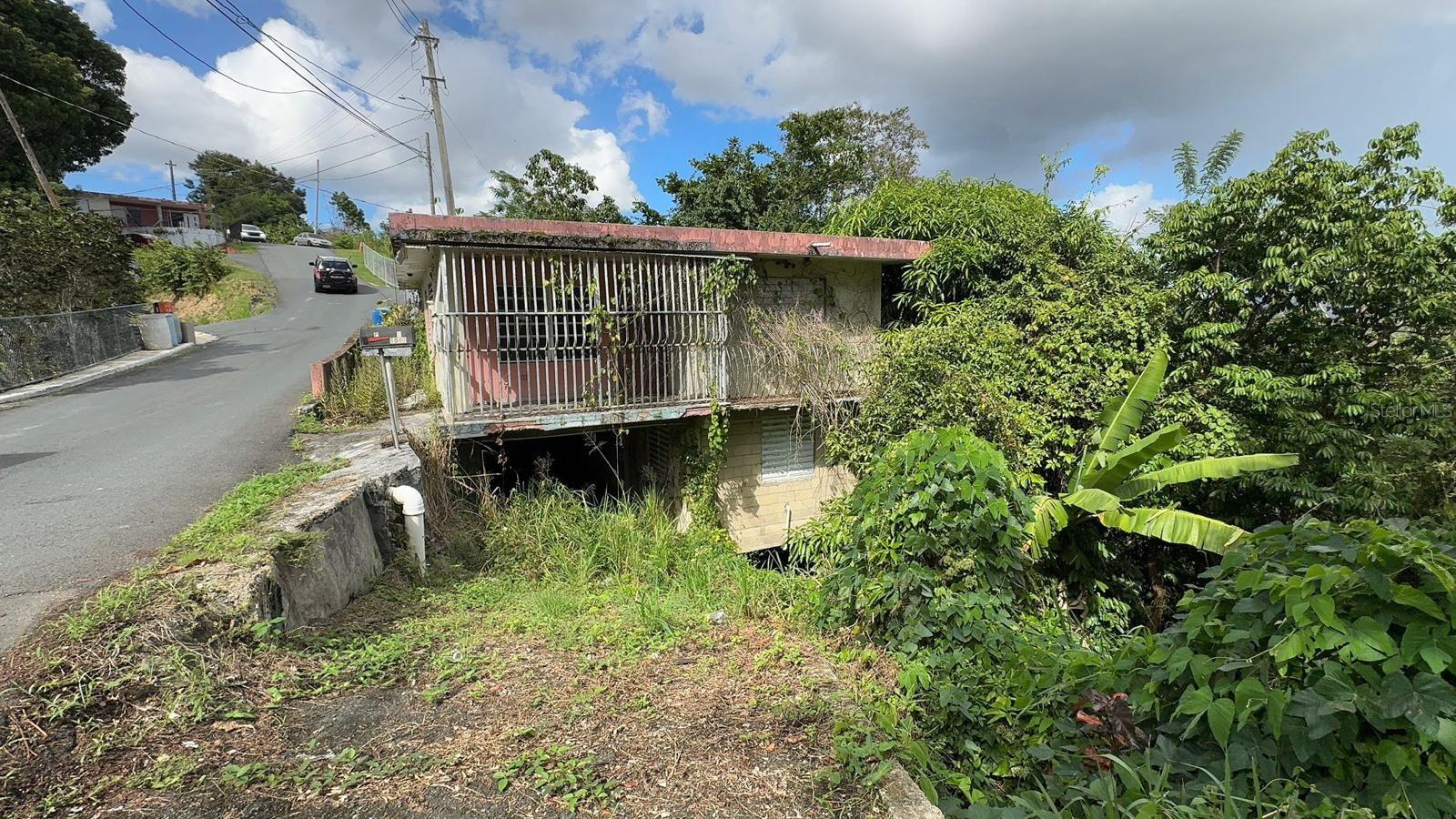 Photo of PR. 813 Km 2.1 BO. NUEVO NARANJITO PR 00719