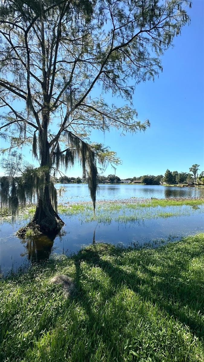 Photo of 16669 BRIGADOON DRIVE TAMPA FL 33618