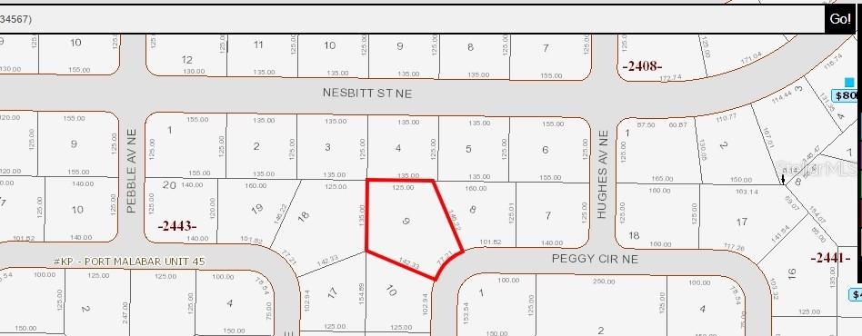 Photo of 335 NE PEGGY CIRCLE PALM BAY FL 32907