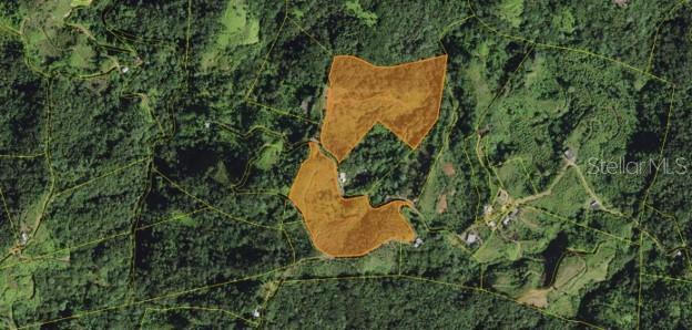 Photo of RONCADOR WARD UTUADO PR 00641