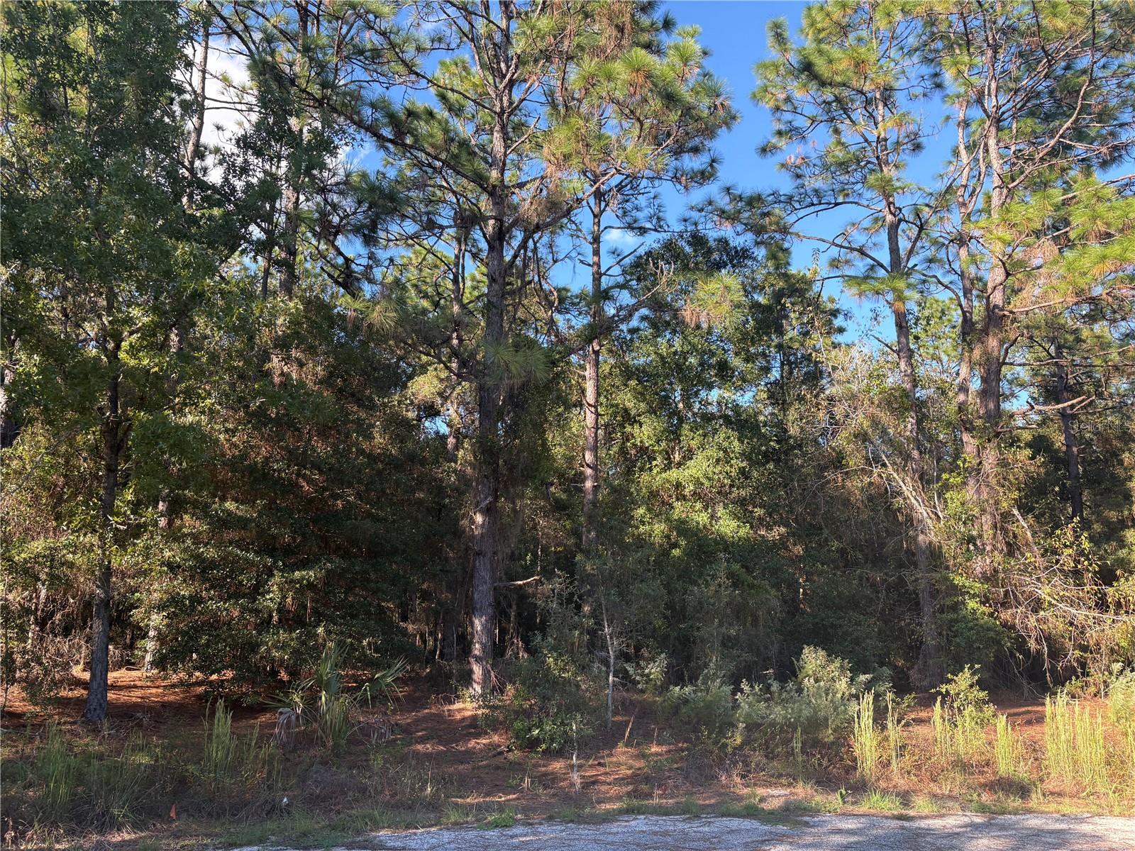 Photo of 1742 W MESA VERDE DRIVE BEVERLY HILLS FL 34465