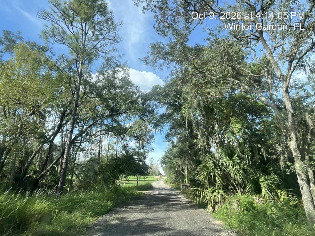 Photo of 9901 AVALON WOODS DRIVE WINTER GARDEN FL 34787