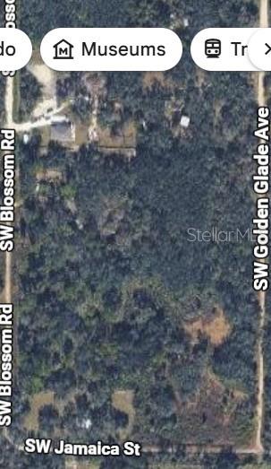 Photo of 2206 SW BLOSSOM AVENUE ARCADIA FL 34266