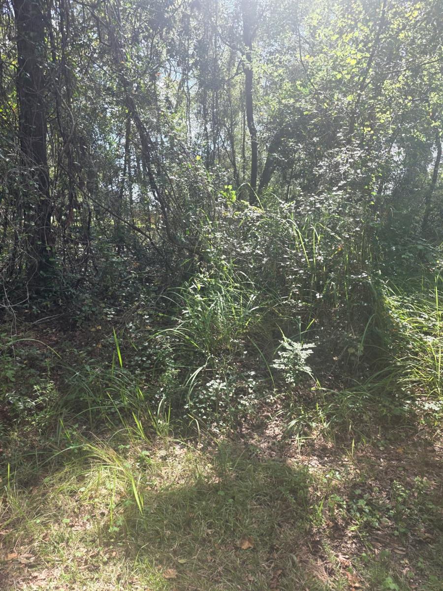 Photo of TBD SE 136TH LANE BELLEVIEW FL 34420