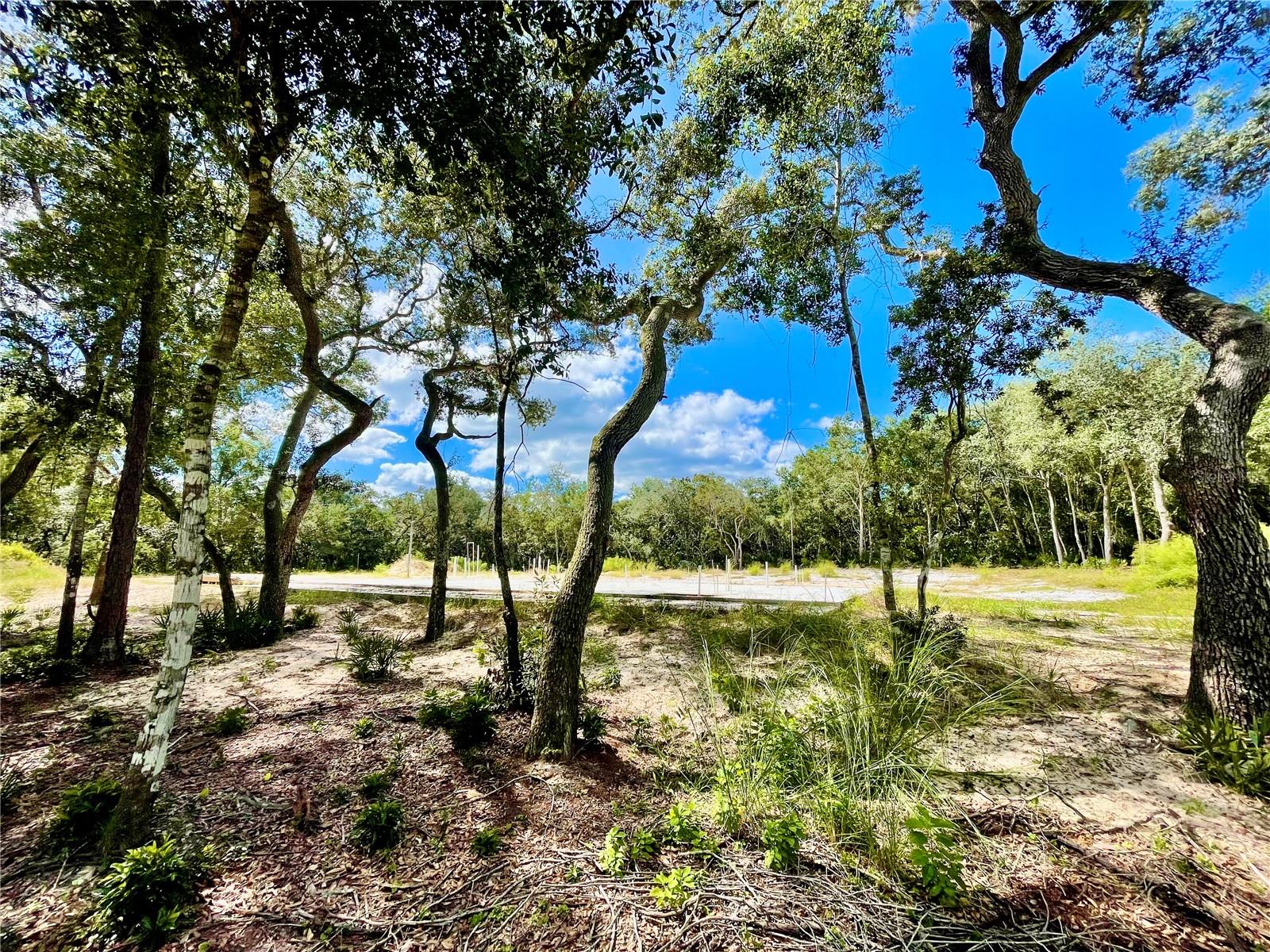 Photo of 47125 EAST AVENUE PAISLEY FL 32767