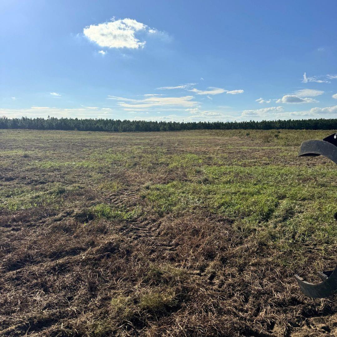 Photo of 4274 SOUTHWEST 99TH AVENUE JASPER FL 32052