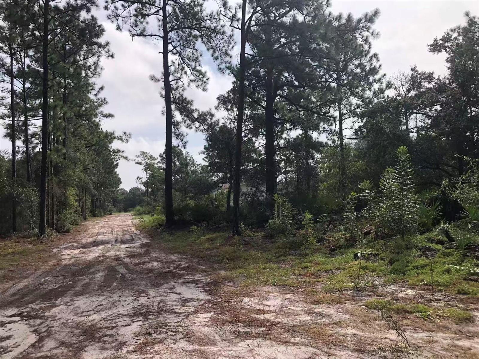 Photo of Lot 228 PARK FOREST BOULEVARD #Lot 228 MOUNT DORA FL 32757