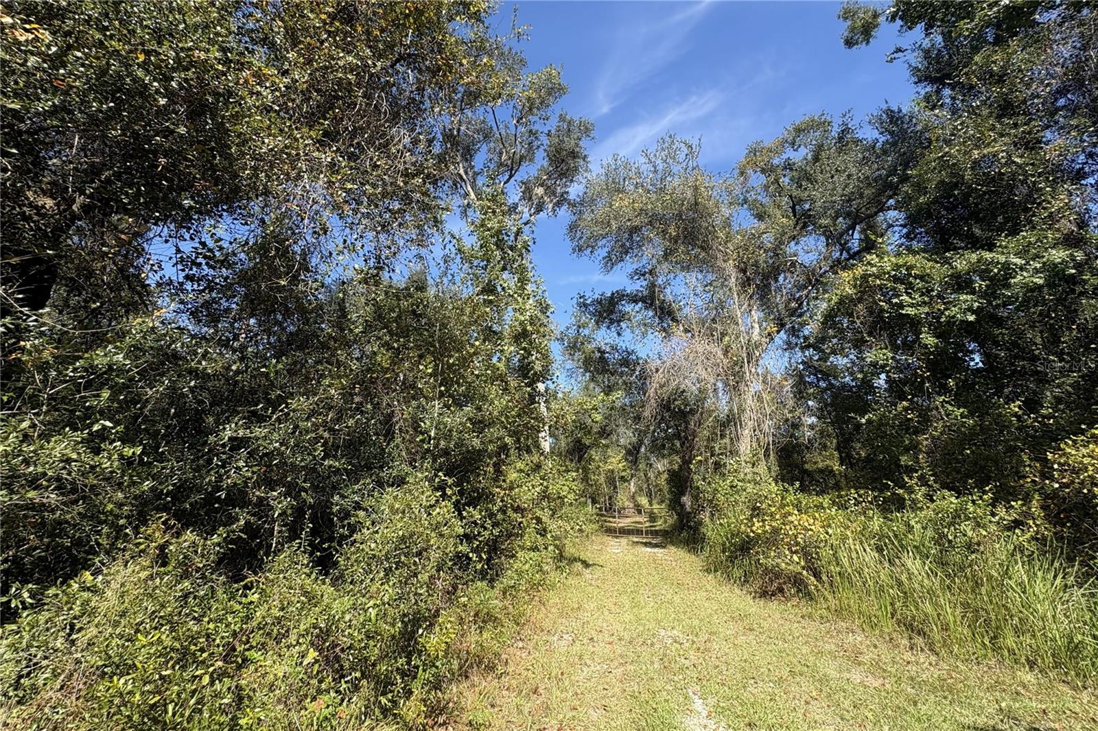 Photo of 3824 NE CHERVIL DRIVE LEE FL 32059