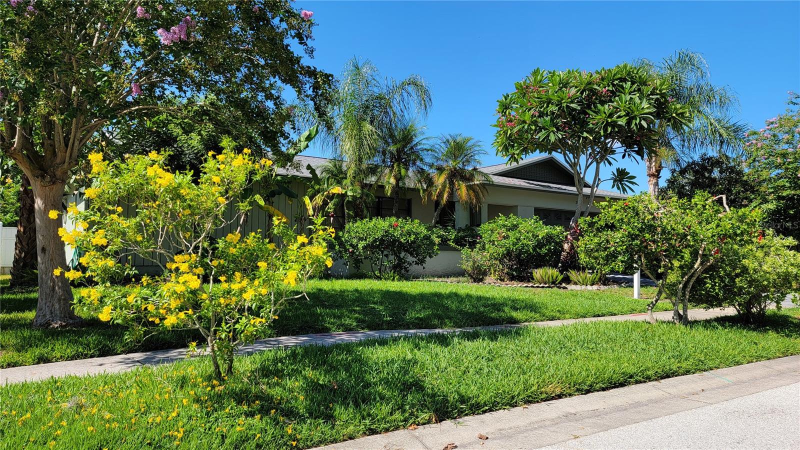 Photo of 3024 SANDPIPER PLACE CLEARWATER FL 33762
