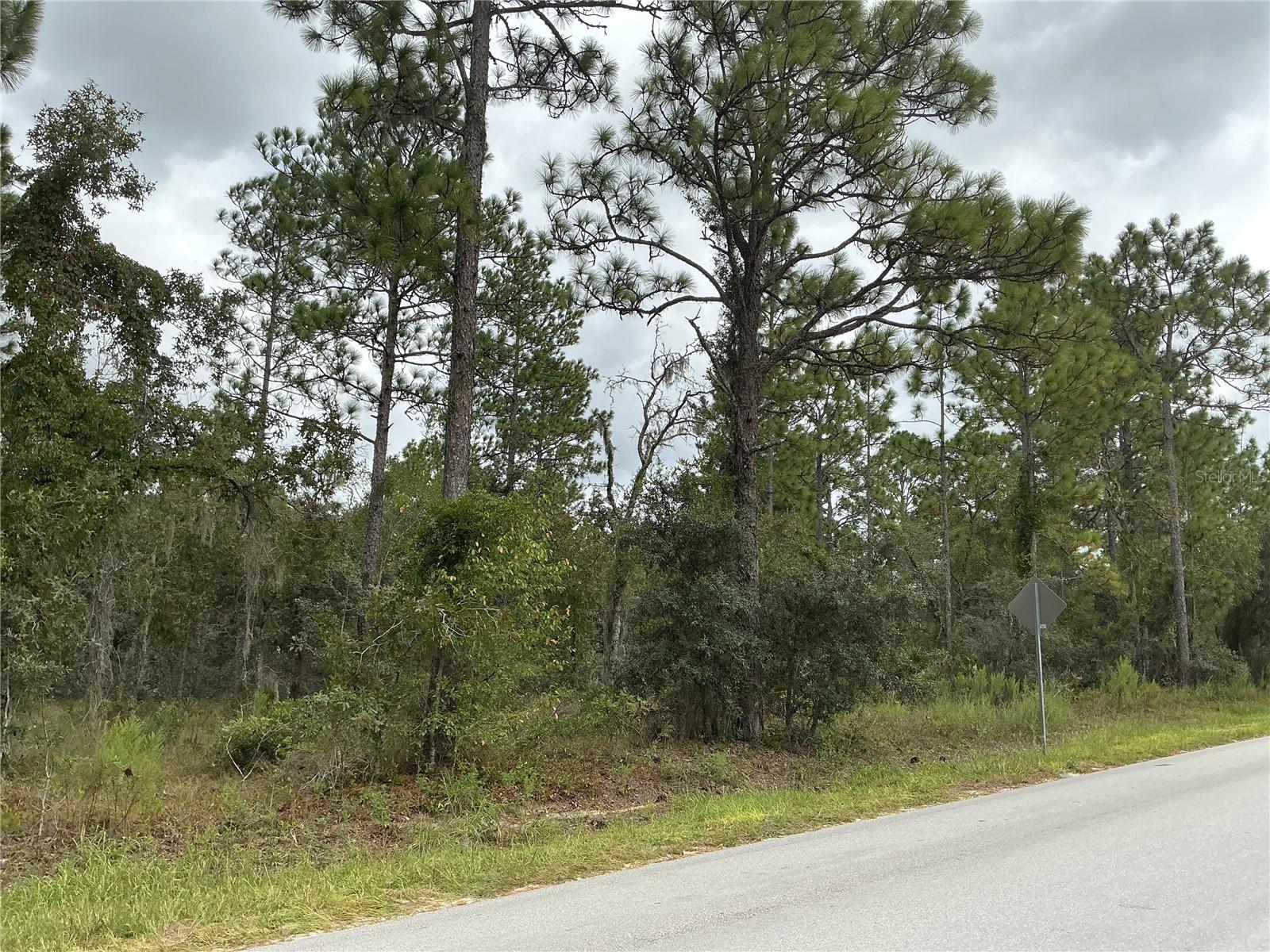Photo of SW 85TH PLACE OCALA FL 34473