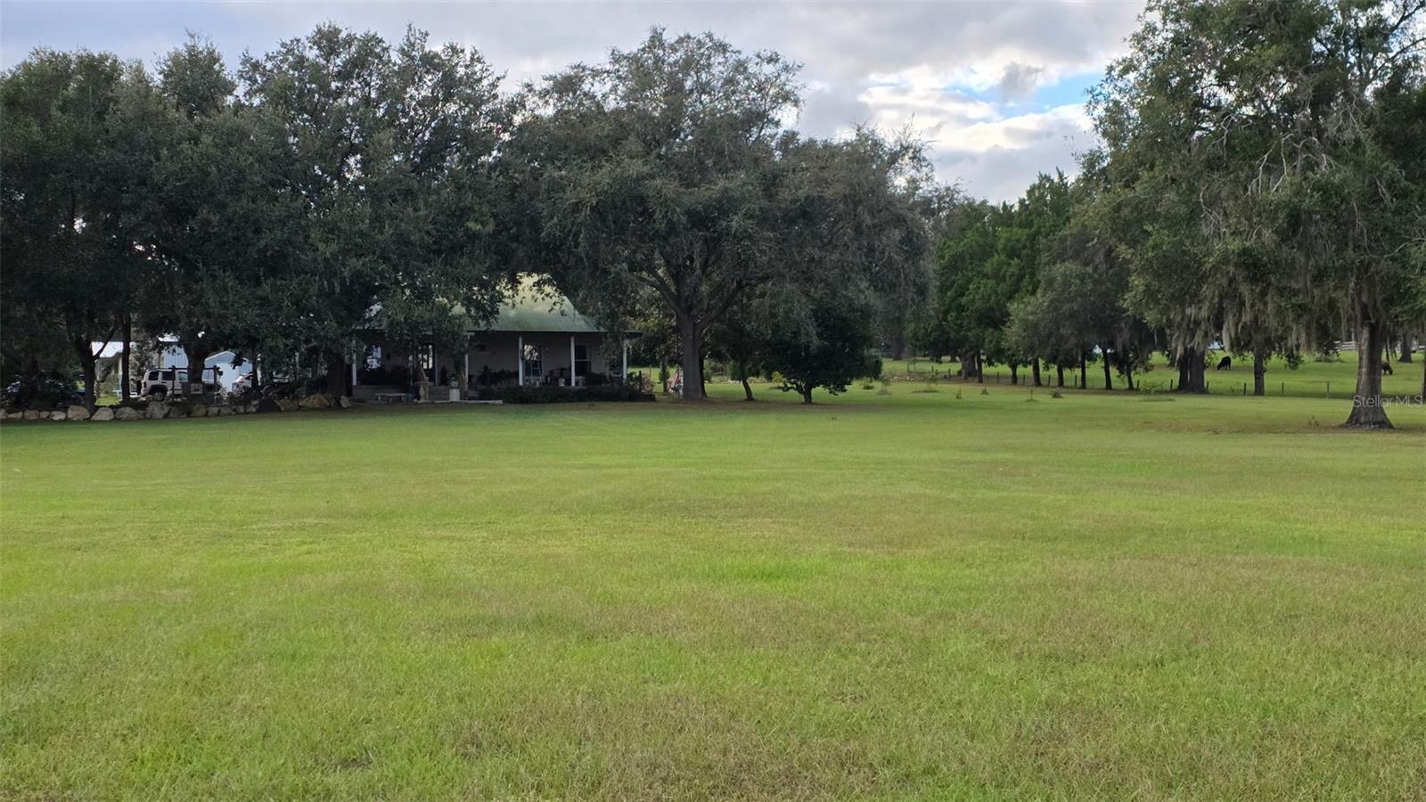 Photo of 31915 TRILBY ROAD DADE CITY FL 33523
