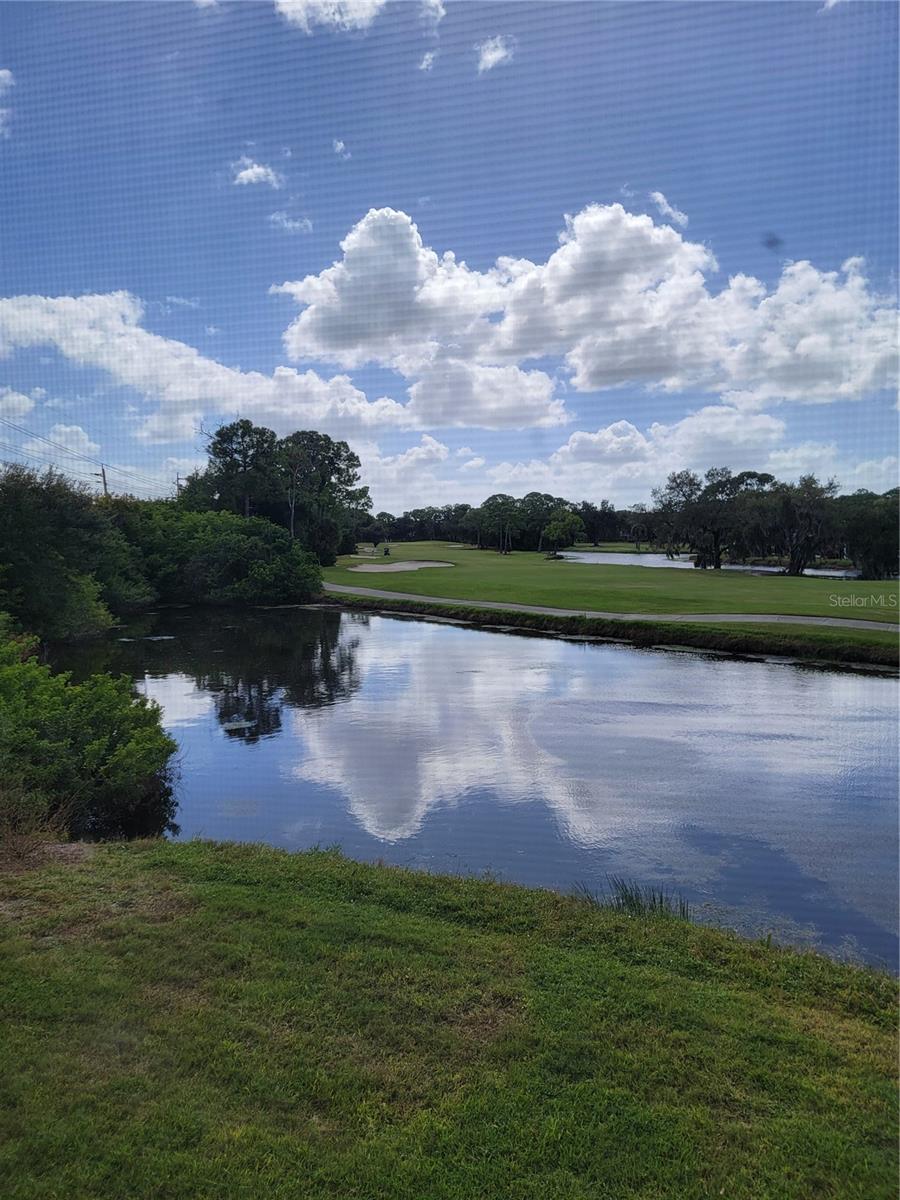 Photo of 5654 SHEFFIELD GREENE CIRCLE #28 SARASOTA FL 34235