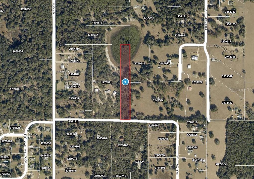 Photo of 4219 JOSLYN LANE LADY LAKE FL 32159