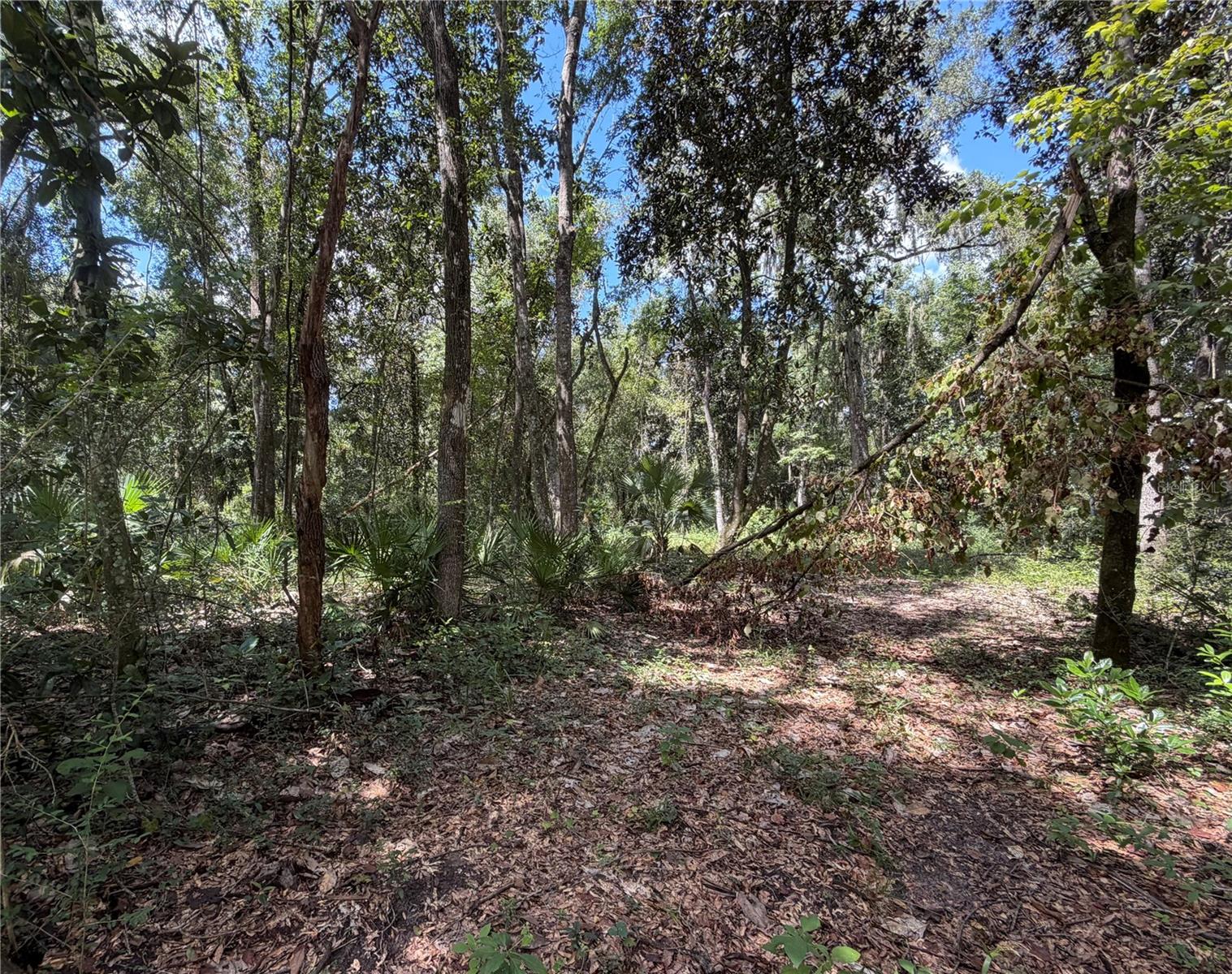 Photo of SW 25TH AVENUE CHIEFLAND FL 32626