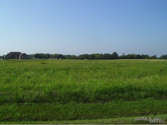 Photo of 4122 KNAB ROAD Drive Smithton IL 62285