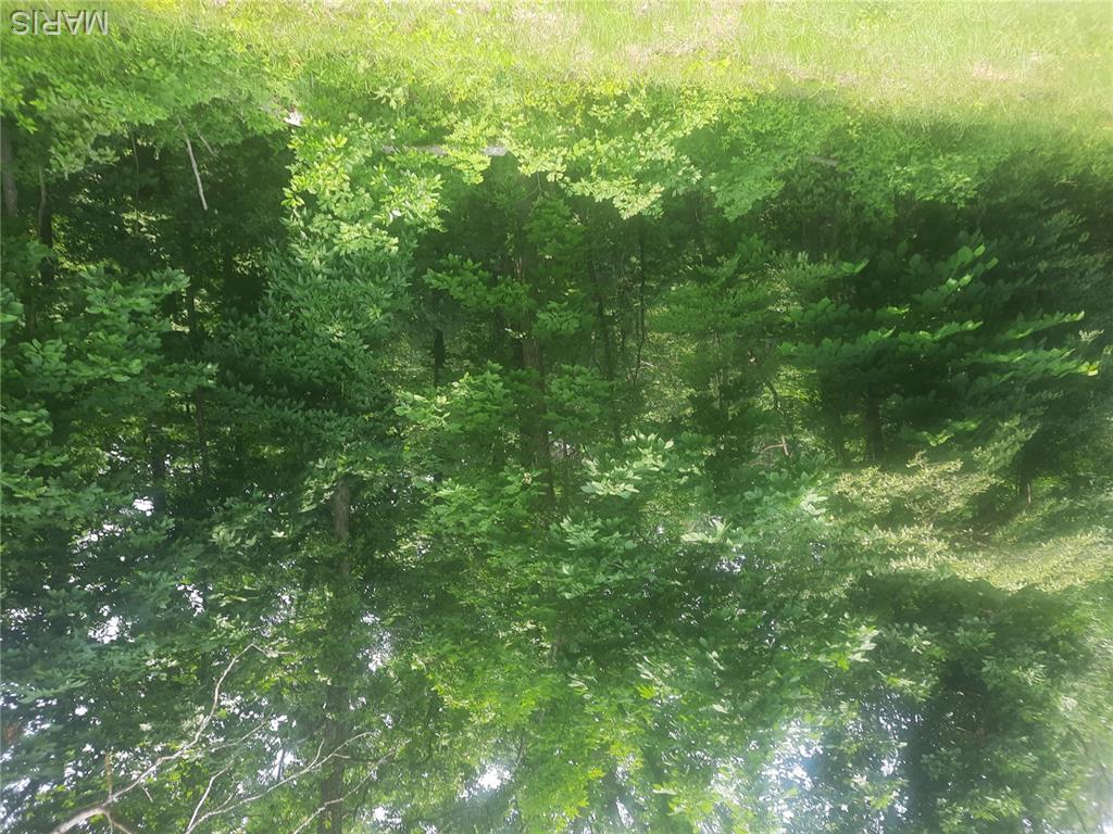 Photo of tbd tbd Van Buren MO 63965