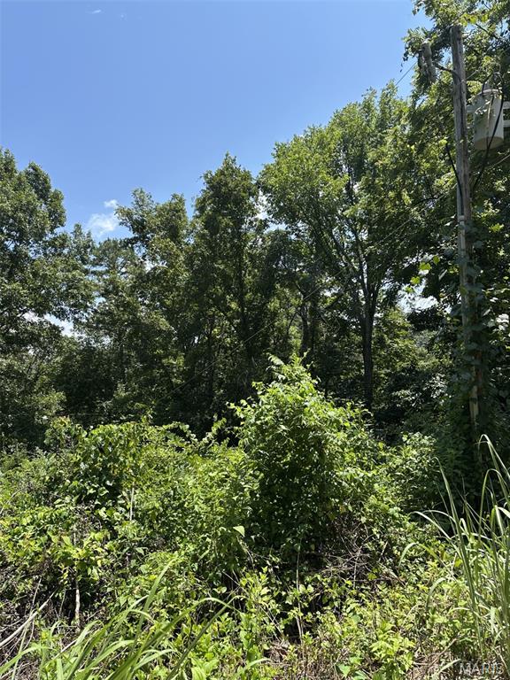 Photo of Plat 9 Lot 15, 19 and 22 Deer Run Van Buren MO 63965