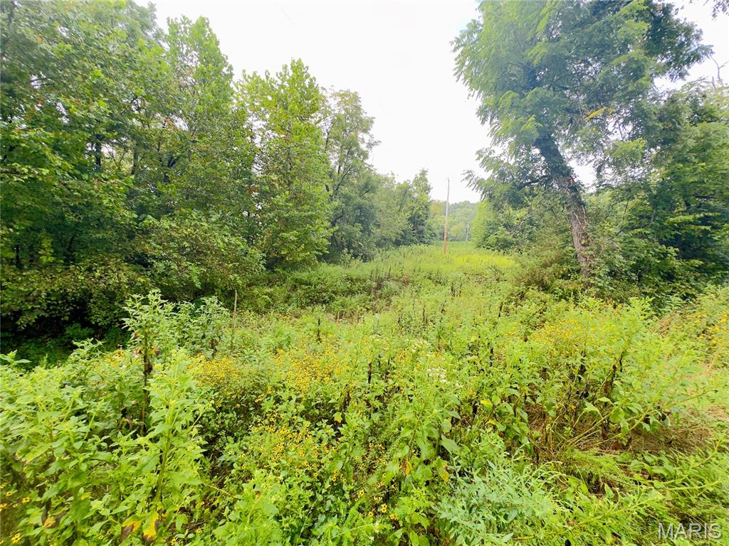 Photo of 0000 Texas Waynesville MO 65583