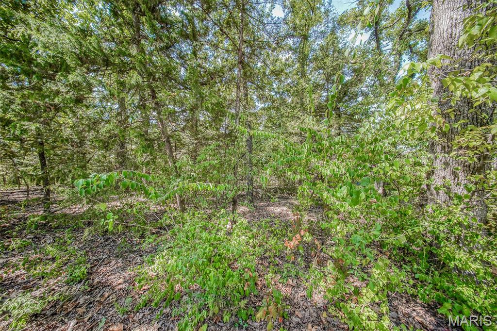 Photo of 0 Faust Court Rolla MO 65401