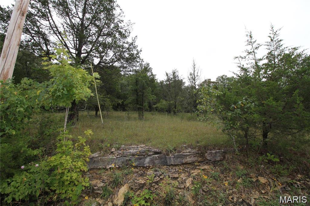 Photo of 5848 Forest Drive Hillsboro MO 63050