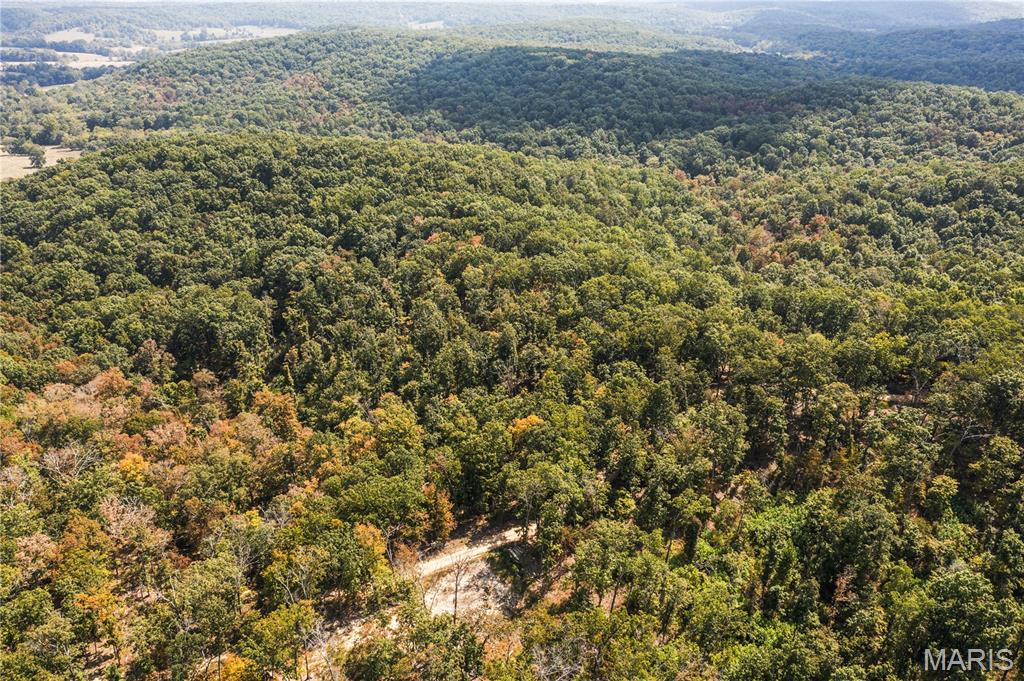 Photo of 0 Bcr 300 Marble Hill MO 63764
