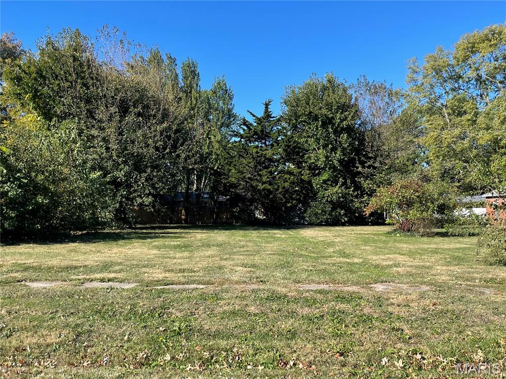 Photo of TBD N Madison Street Litchfield IL 62056