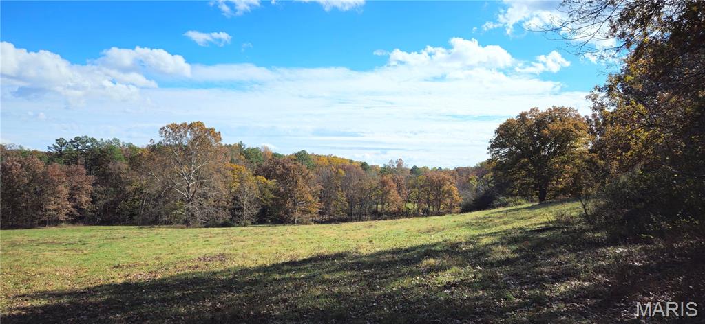 Photo of 205 County Road 6550 Salem MO 65560