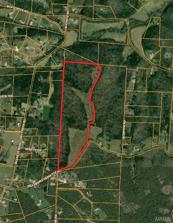 Photo of 4777 Hillsboro Hematite Road Festus MO 63028