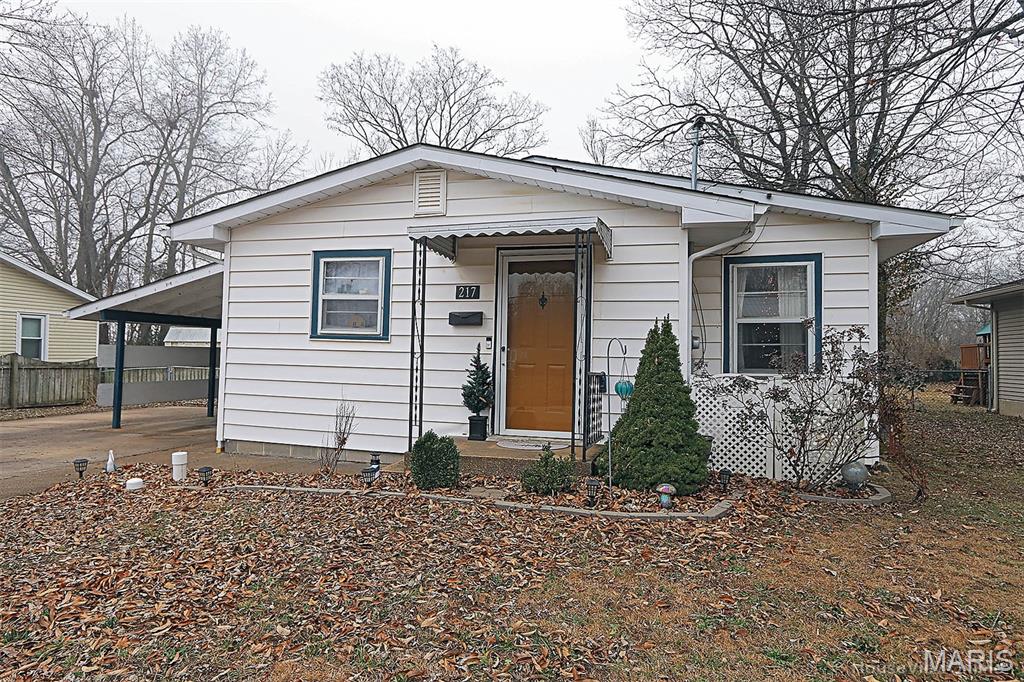 Photo of 217 N Alexander Street Farmington MO 63640