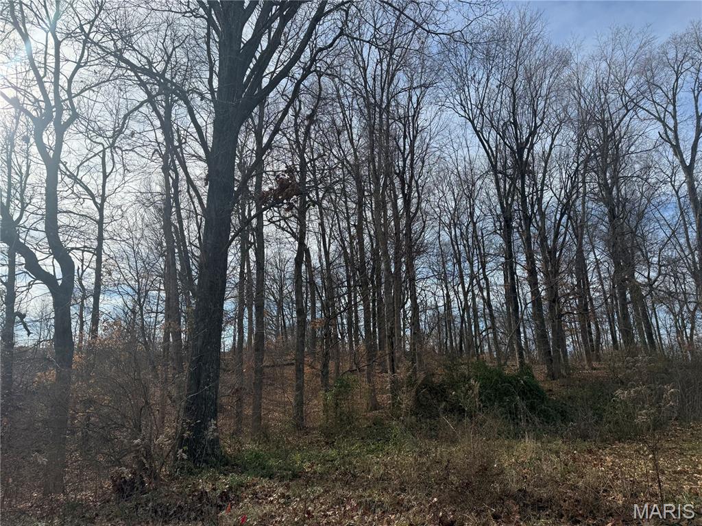 Photo of 204 Stepping Stone Way Cape Girardeau MO 63701