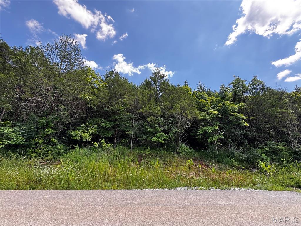 Photo of 5656 Eagles Valley W House Springs MO 63051