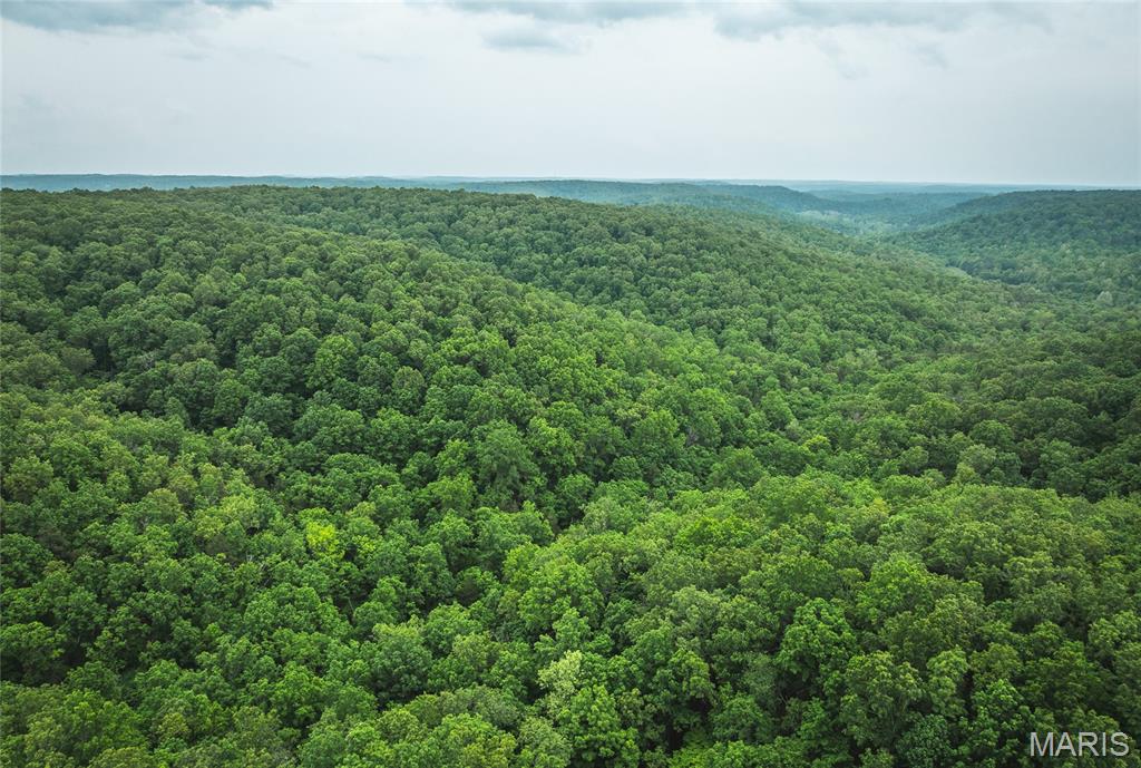 Photo of 0 County Road 6280 Tract 1 Jadwin MO 65502