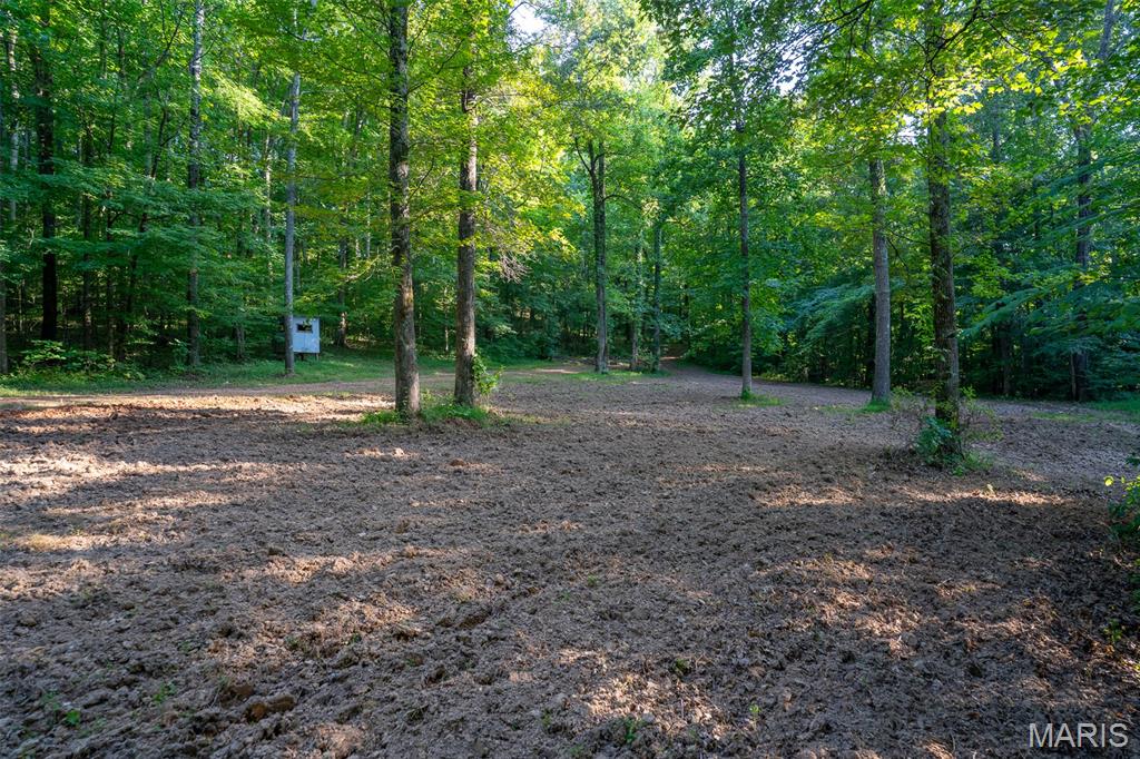 Photo of 0 County Road 530 Tract 3 Williamsville MO 63967